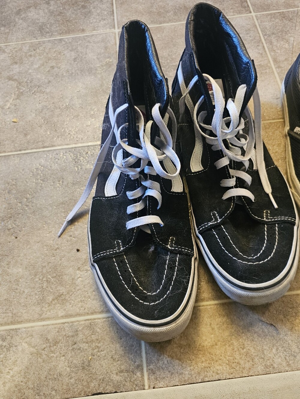 Vans Black & White High-Top Suede Skate Sneakers
